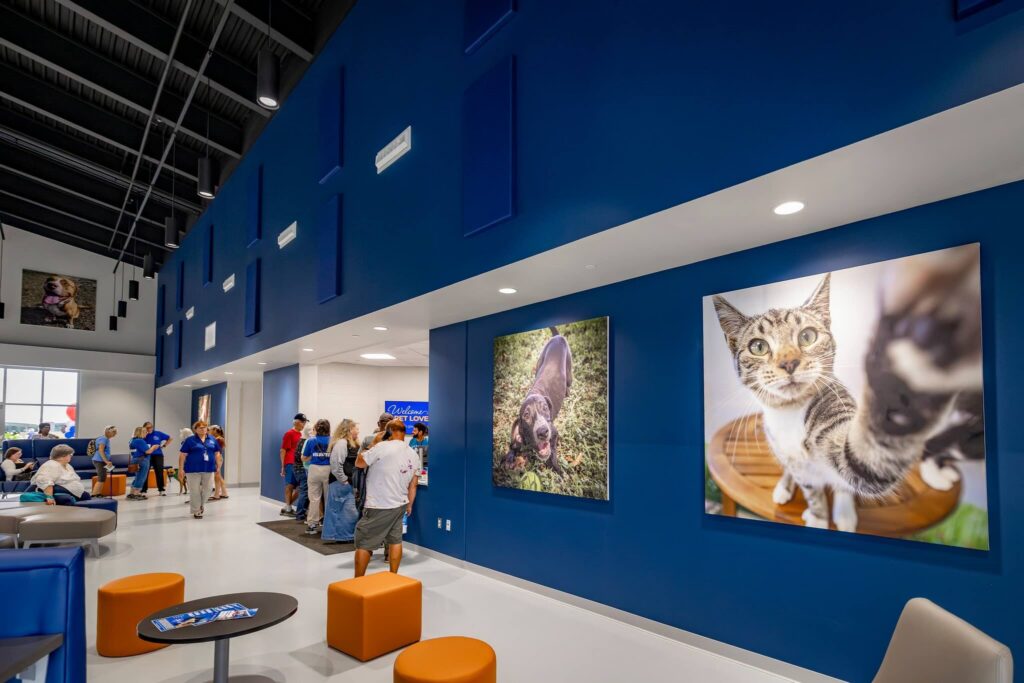 The interior of the new Marion County Animal Services center