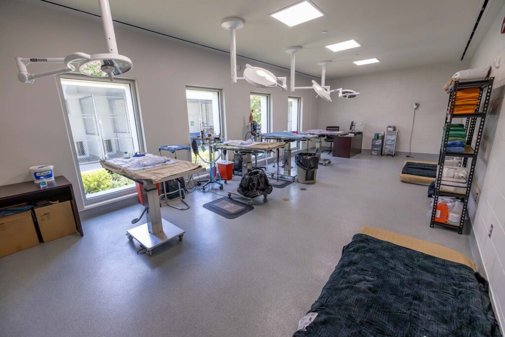 The operating room at the new Marion County Animal Services center
