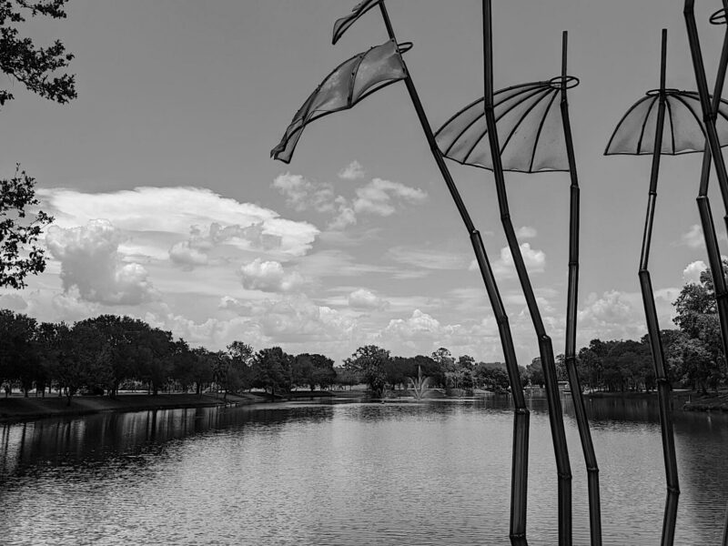 View from bridge at Tuscawilla Park in Ocala in June 2020 (Black and white)