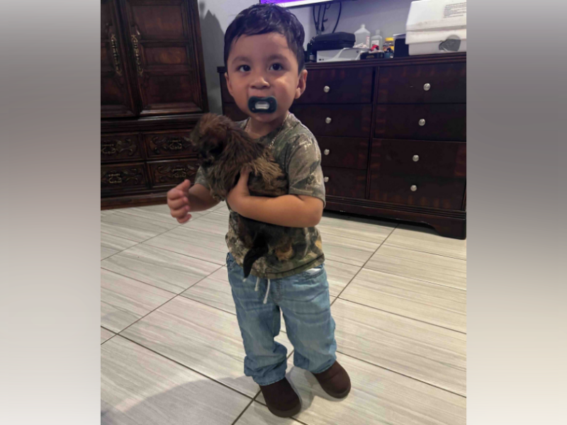 Arturo Martinez, 2, was tragically killed after drowning in his family's pool in Dunnellon on May 23.