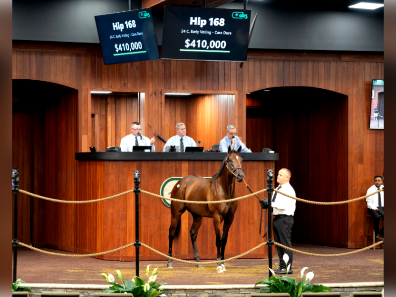 Ocala Breeders’ Sale June event generates over $9 million on opening day