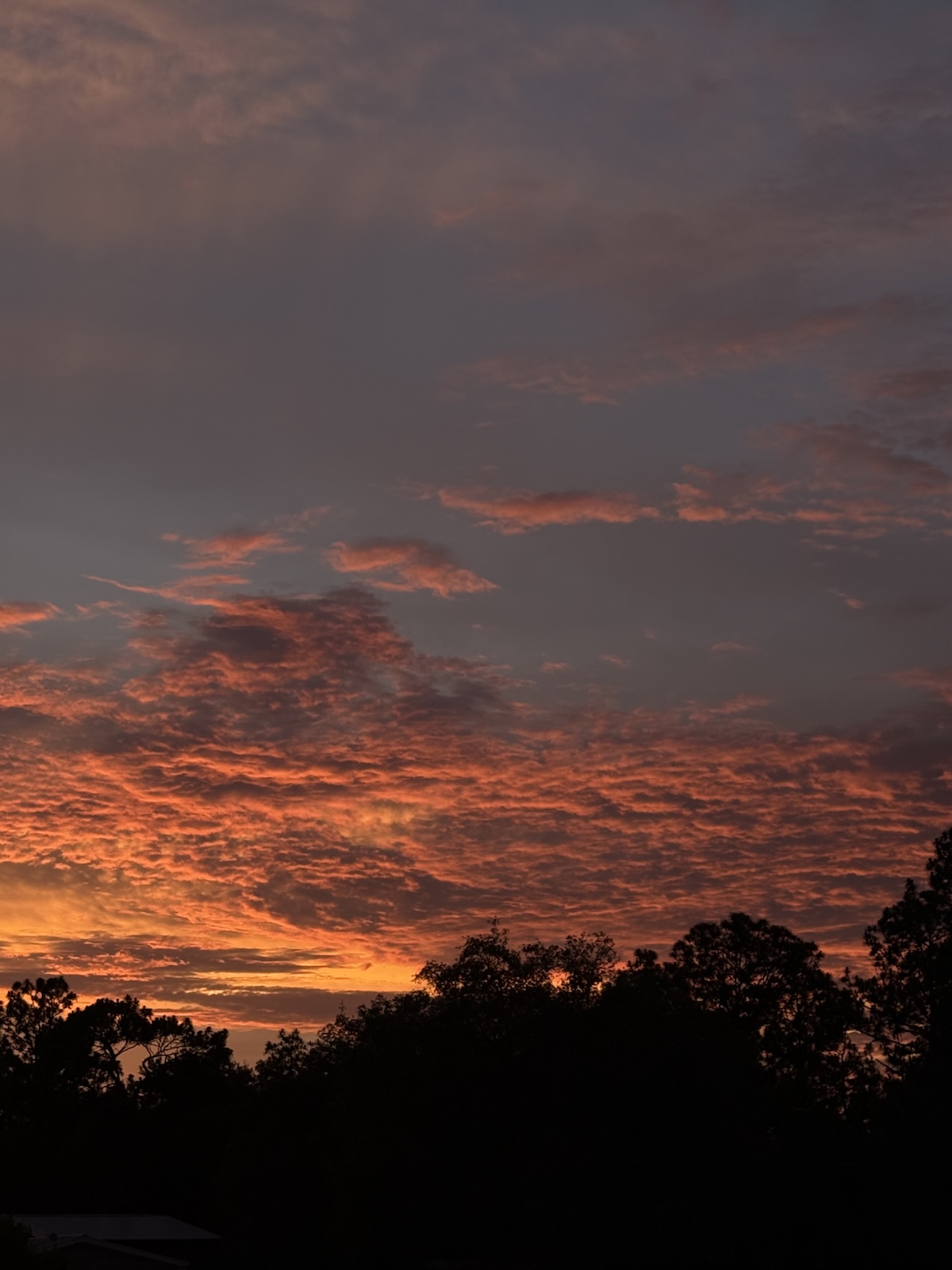 Beautiful sunset captured over Lake Tropicana in Dunnellon Beautiful sunset captured over Lake Tropicana in Dunnellon