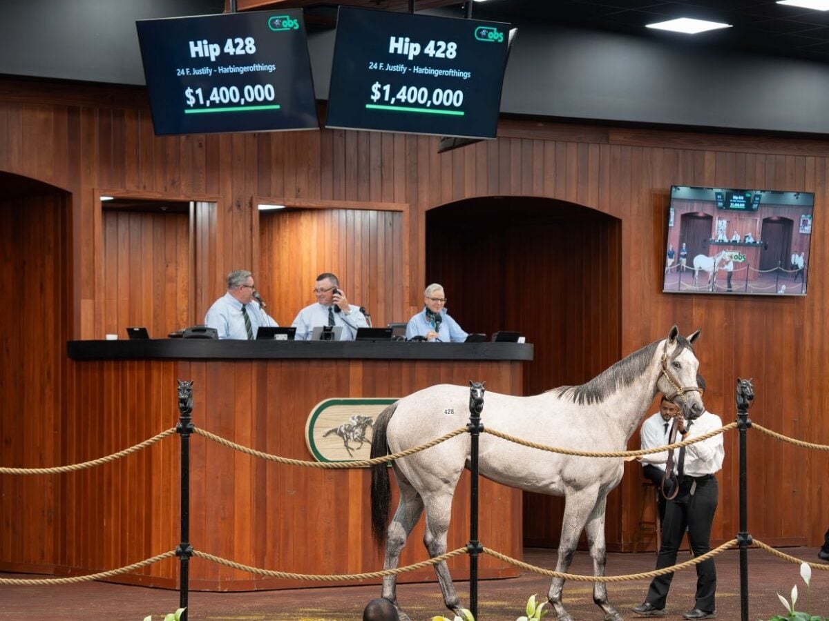 Ocala Breeders’ event generates $28 million in sales, record $1.4 million horse