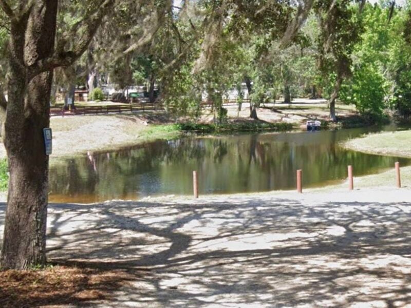 Health officials issue blue-green algae caution for Lake Bryant