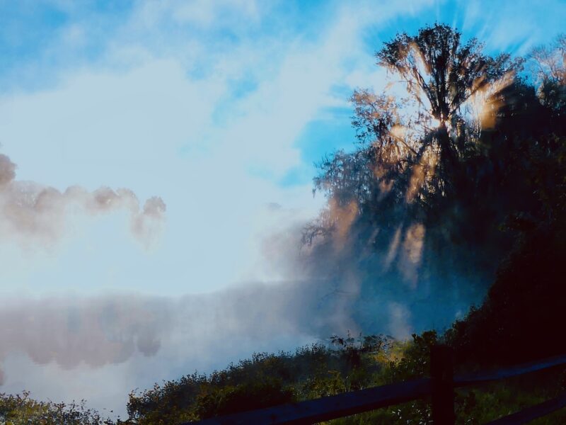 Morning mist rises over the water at Silver Springs