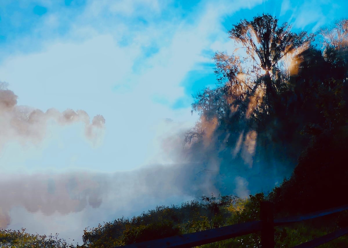 Morning mist rises over the water at Silver Springs Morning mist rises over the water at Silver Springs