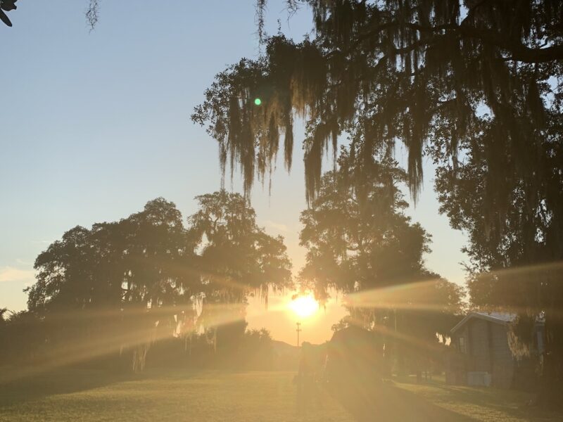 Morning sunrise captured near Silver Springs Boulevard and I-75