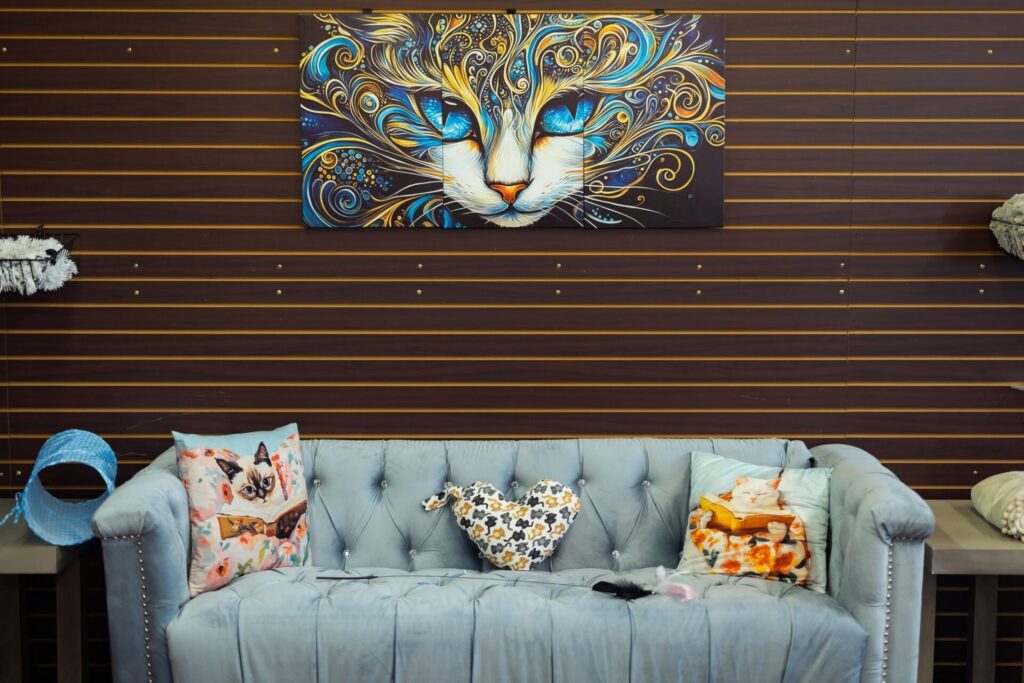 PURRS AND PAGES - One of the couches
