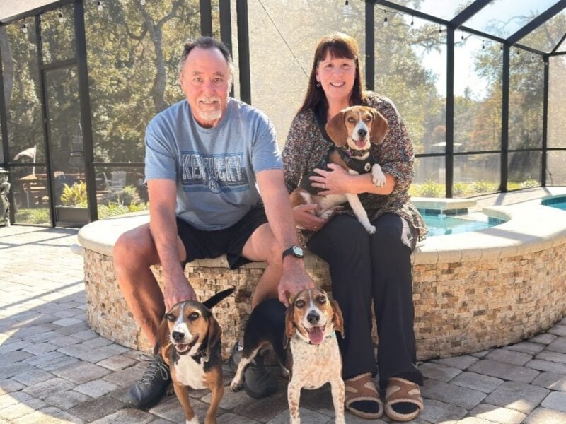 Beagle deemed ‘too gentle’ for hunting rescued to new home in Marion County