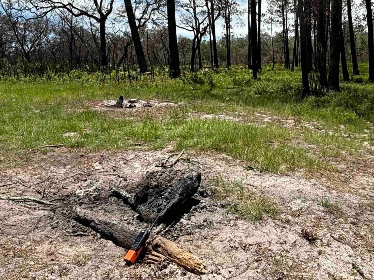 Firefighters extinguish large unattended campfire in Ocala National Forest