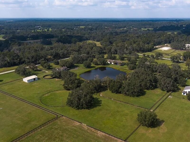 21-acre horse farm in Reddick sells for $2.9 million