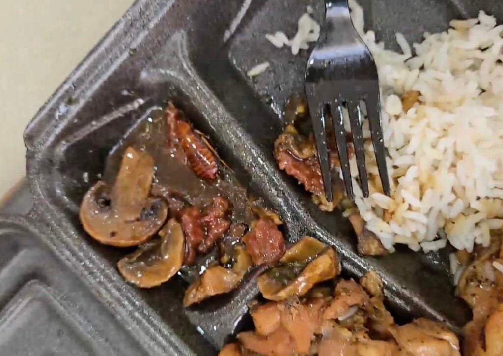 A roach in a meal at Pei Wei Asian Express in the Paddock Mall 2