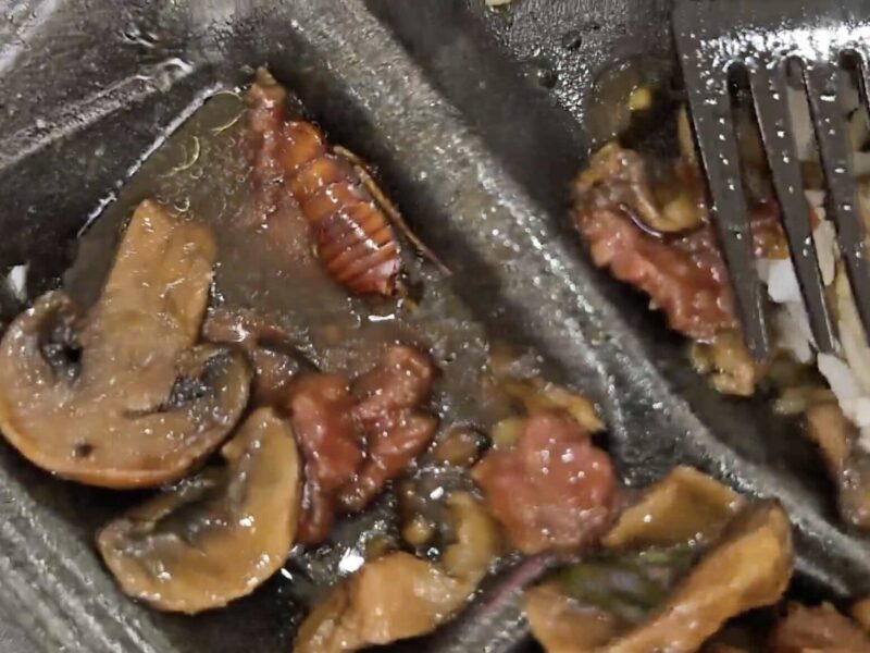 A roach in a meal at Pei Wei Asian Express in the Paddock Mall 3