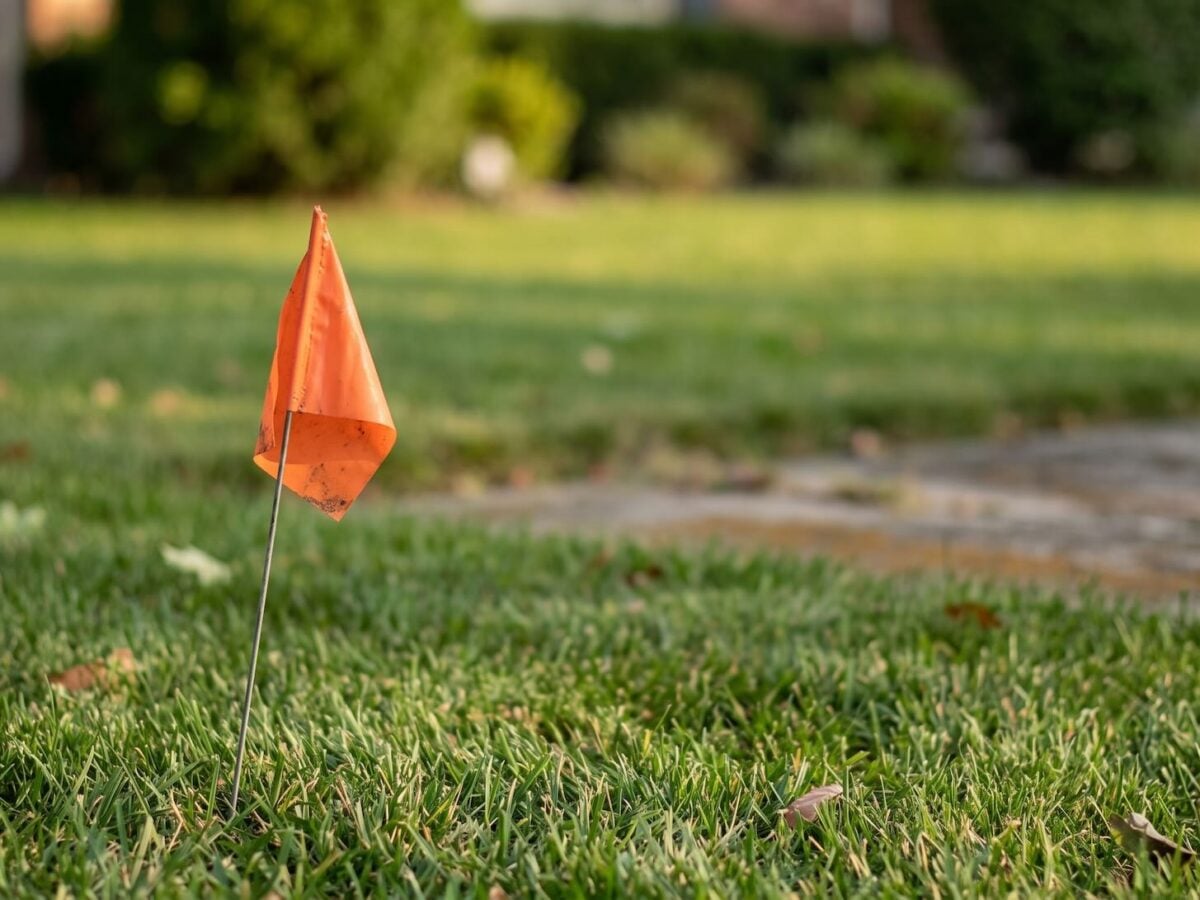 My Ocala neighborhood is littered with utility marking flags left behind after fiber installations