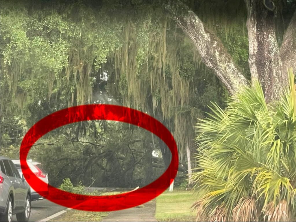 Damage recorded by Ocala Fire Rescue as a result of the storm 5