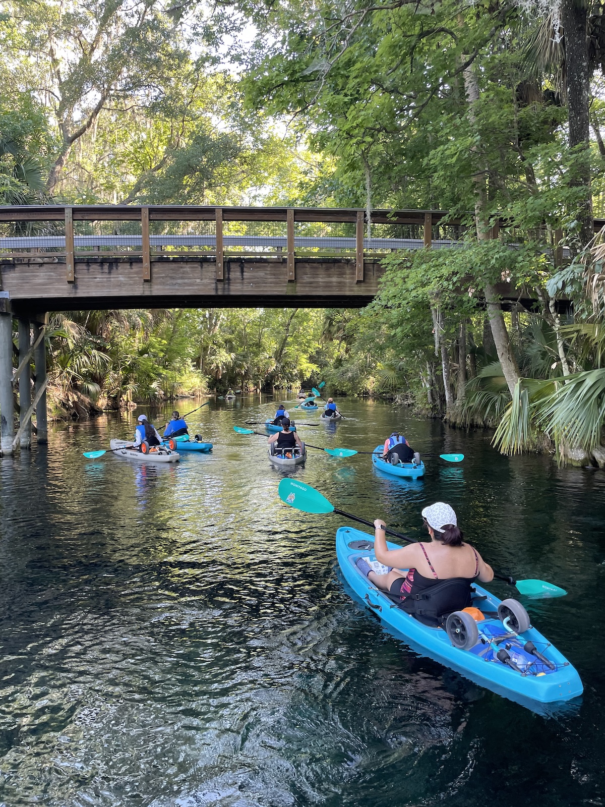 Kayakers explore paddle trail at Silver Springs State Park Kayakers explore paddle trail at Silver Springs State Park