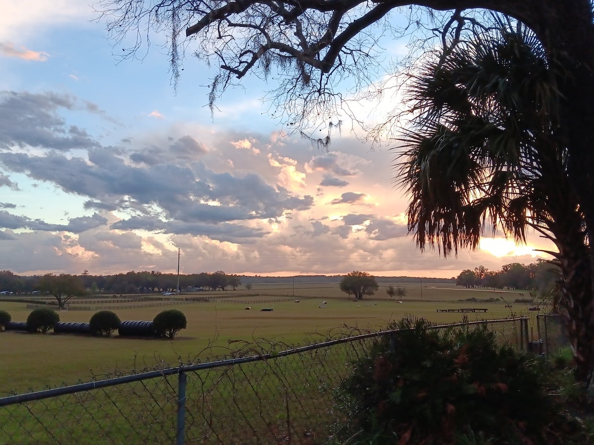 Pasture sunset view in Marion County Pasture sunset view in Marion County