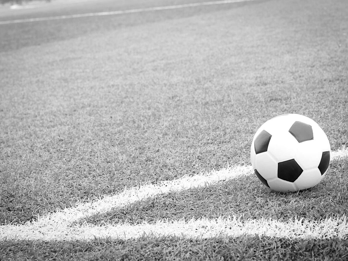 Belleview Sportsplex soccer field restoration delayed as sole bid exceeds county budget