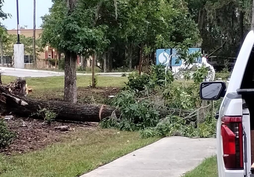 Storm brings down big oak tree near Sutton Place in Ocala on July 11, 2026. 2