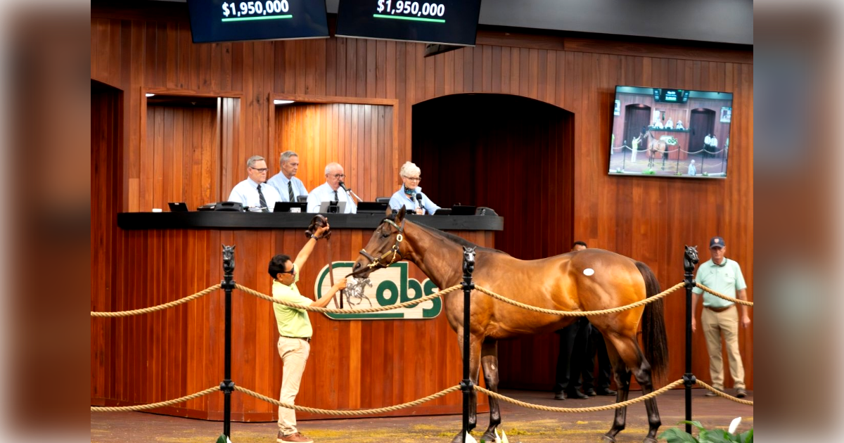 OBS prepares for June auction after generating over $185 million in sales