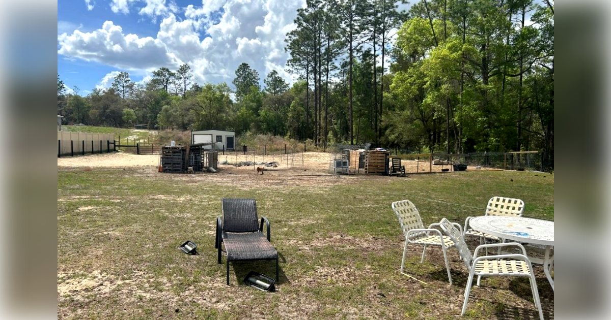 Family told to remove emotional support goats, ducks, and geese at Marion home within 30 days